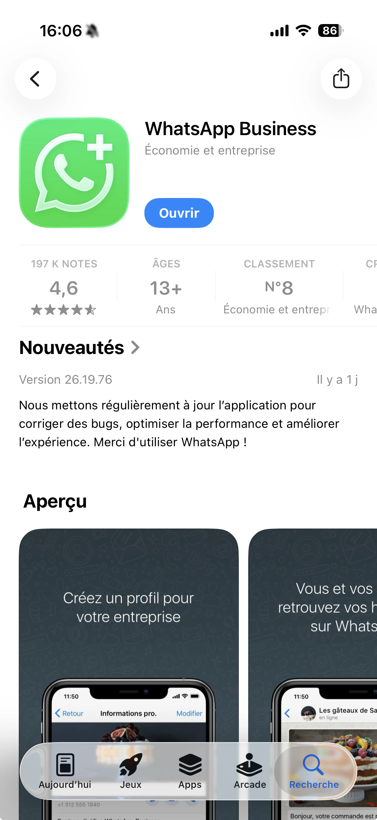 WhatsApp Business store page with the Update button