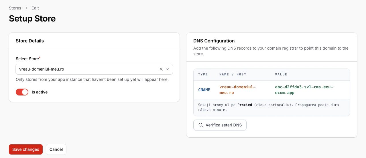 Cardul de configurare DNS din CMS