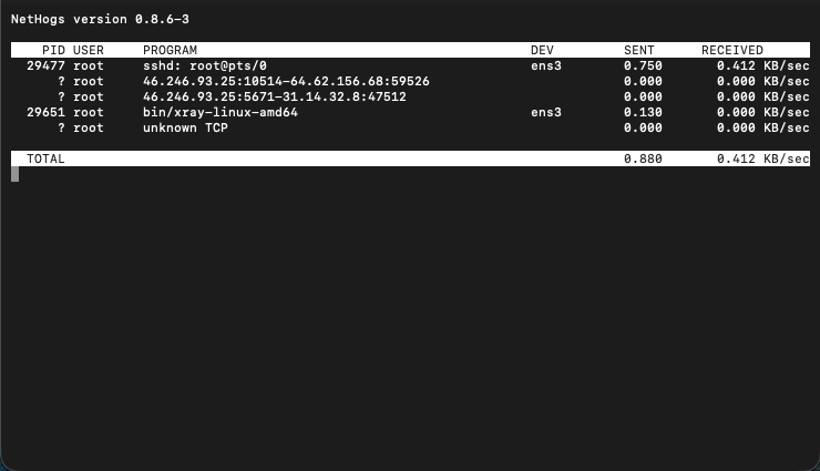 Example nethogs display showing bandwidth use by process