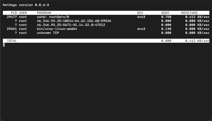 Example nethogs display showing bandwidth use by process