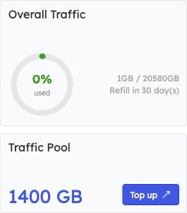 Overall Traffic and Traffic Pool after a successful 100 GB manual assignment