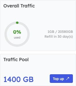 Overall Traffic and Traffic Pool after a successful 100 GB manual assignment
