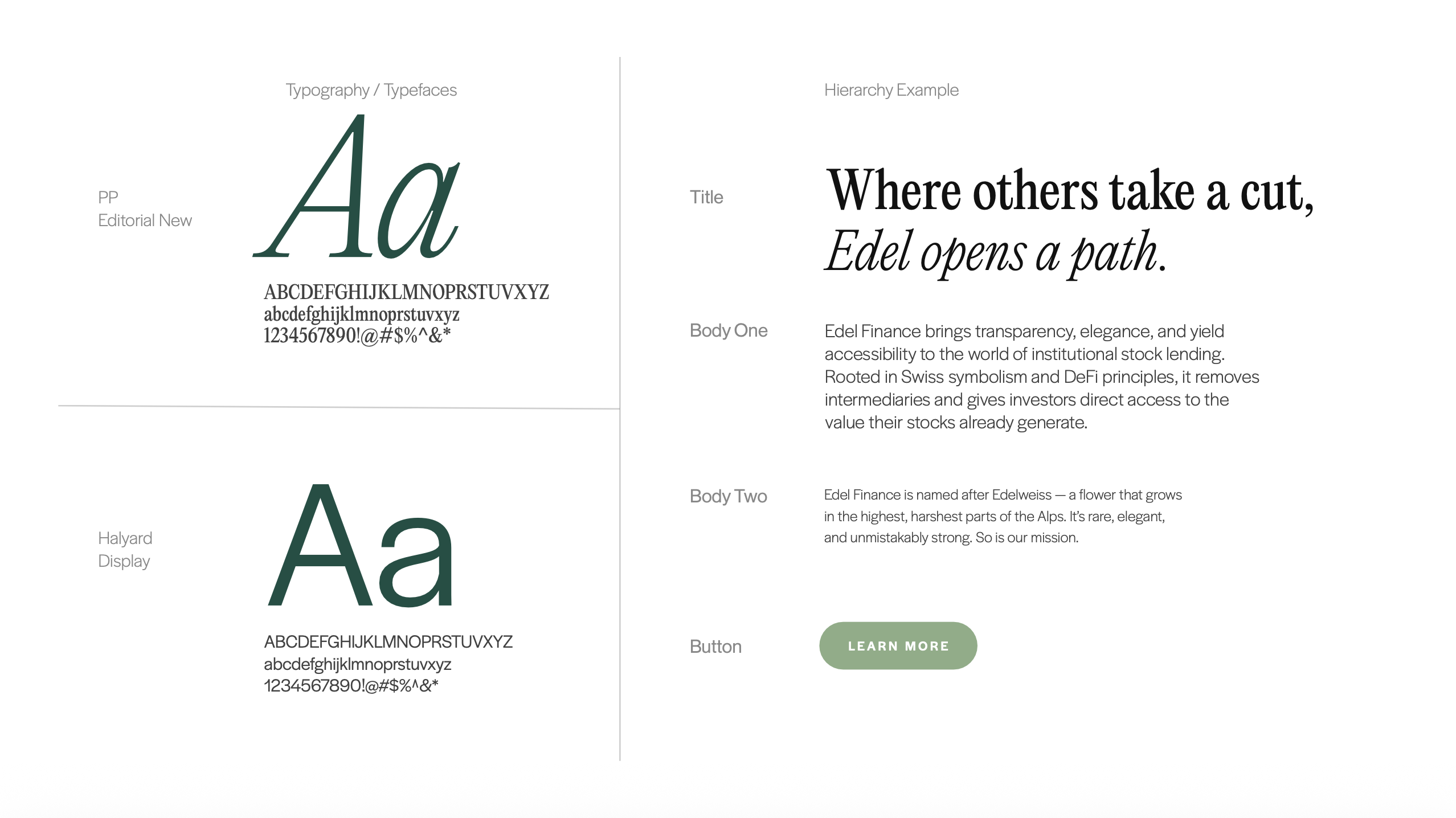 Brand color palette specifications