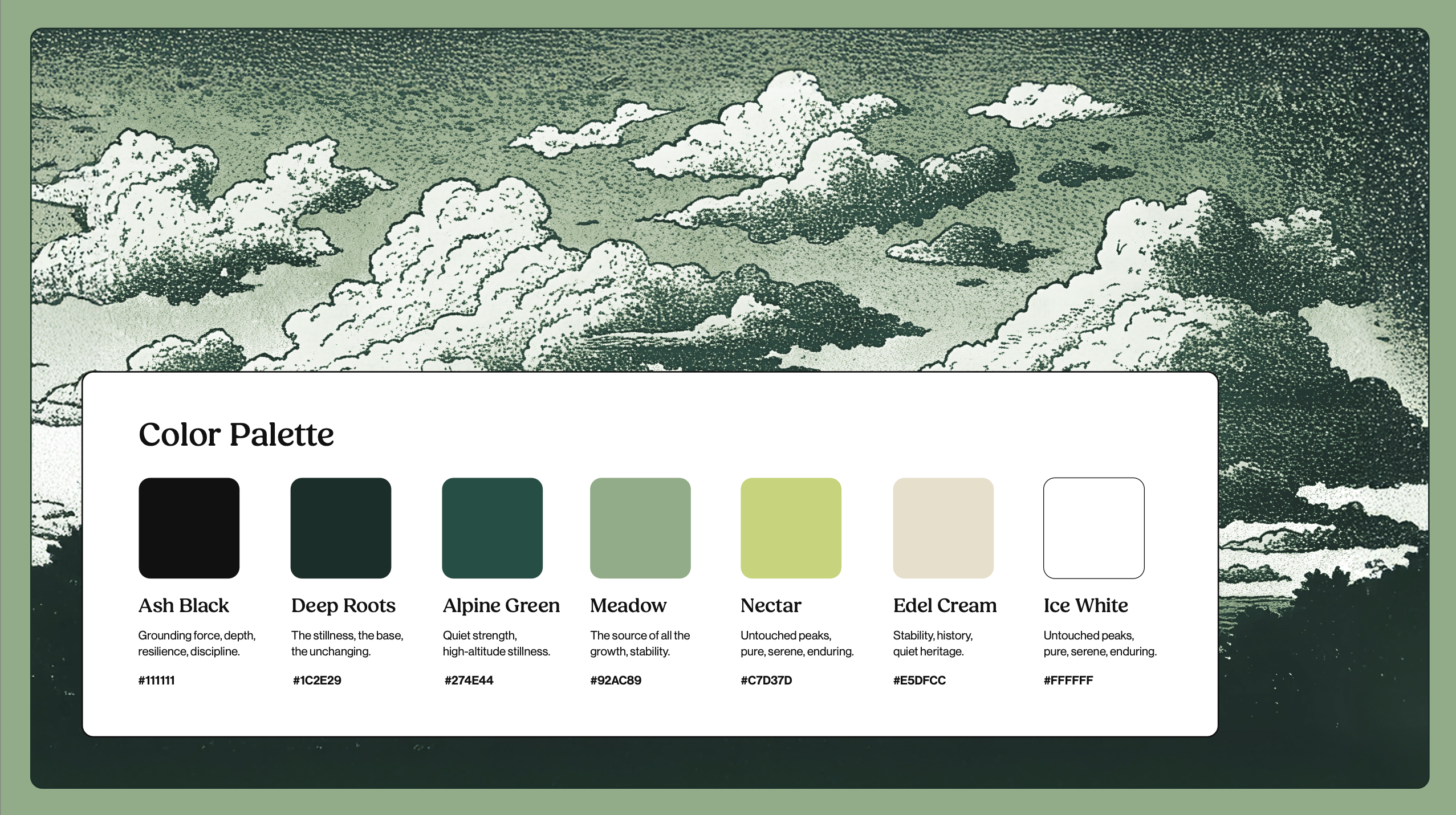Visual elements and brand components