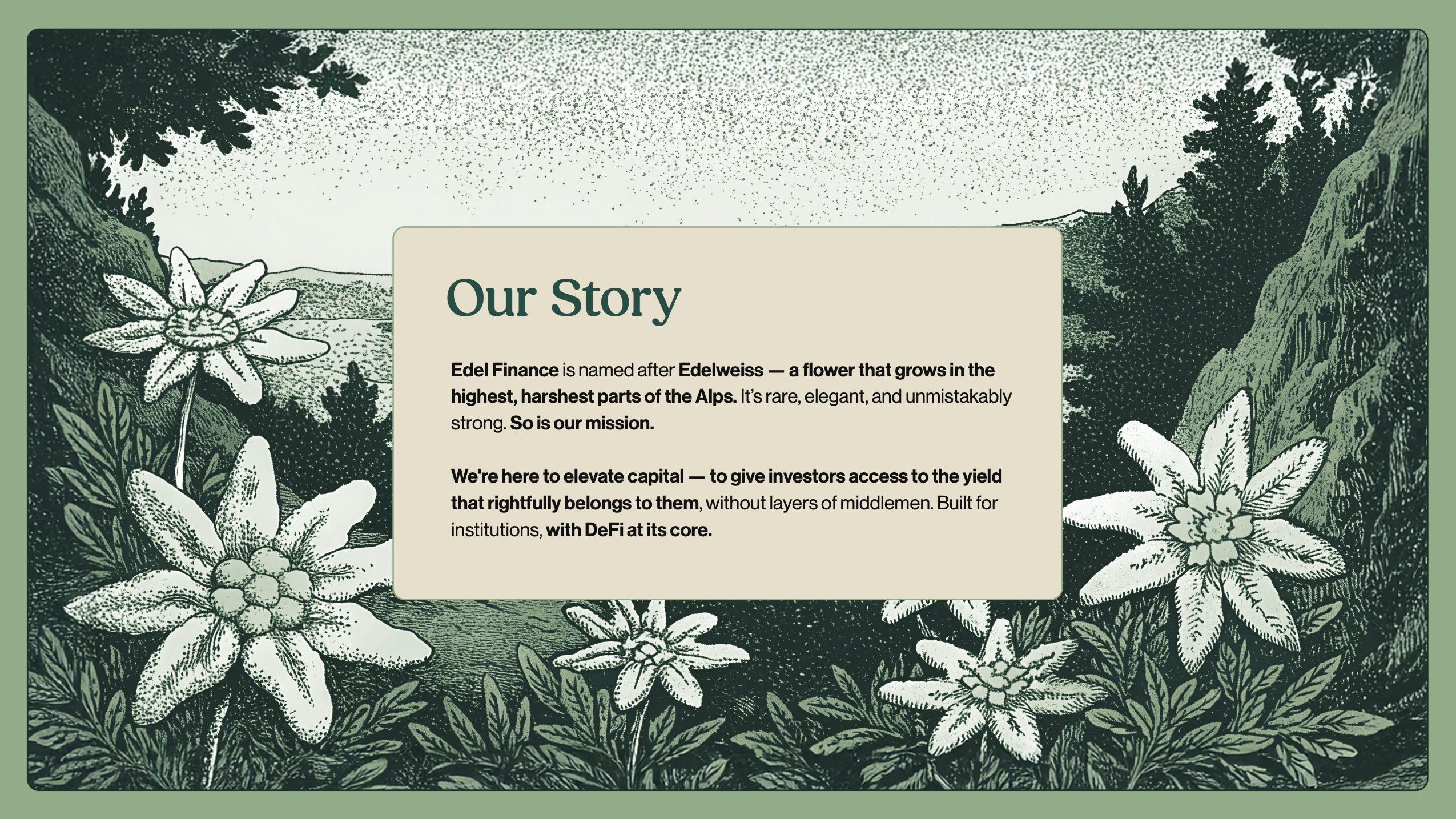 Edel brand overview and context