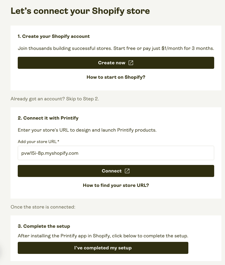 Shopify setup