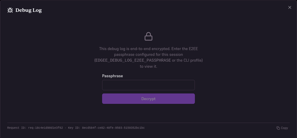 Debug log dialog showing a lock icon and passphrase prompt for an end-to-end encrypted entry