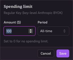 Standard API key spending limit form with a $100 amount and All-time period.
