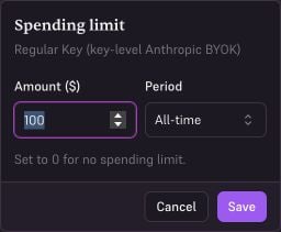 Standard API key spending limit form with a $100 amount and All-time period.