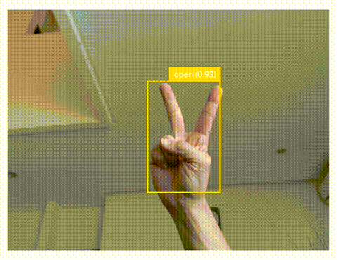 Live inferencing