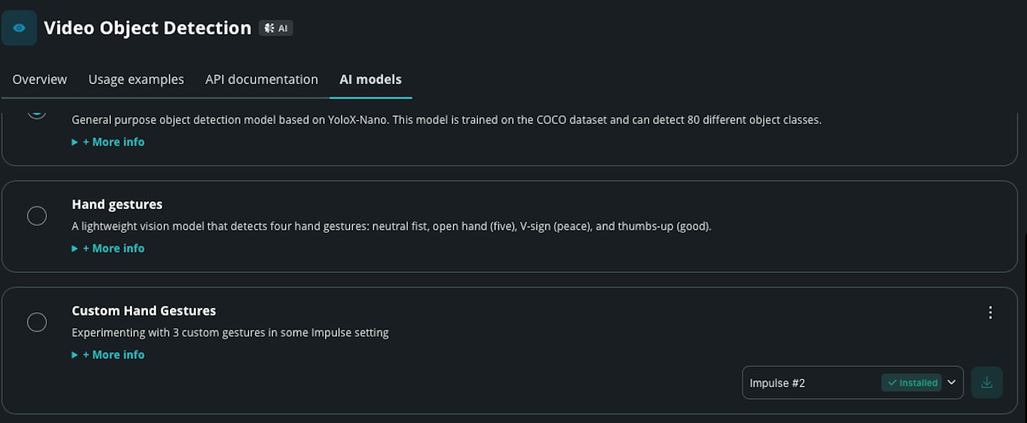 Download your Custom Model