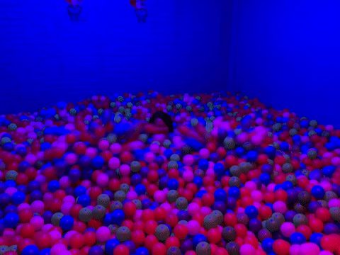 A person celebrating in a ball pit after completing the on-device model