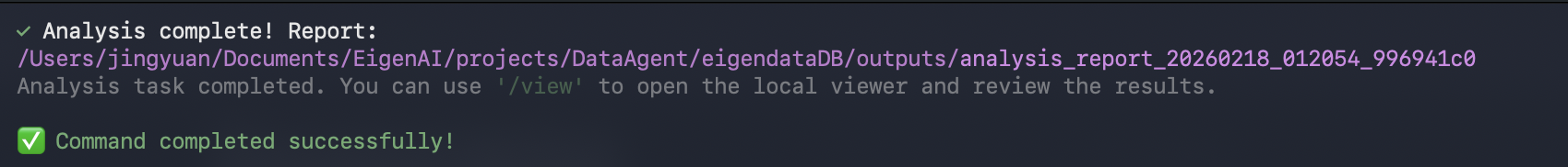 Data audit completion summary with report output path