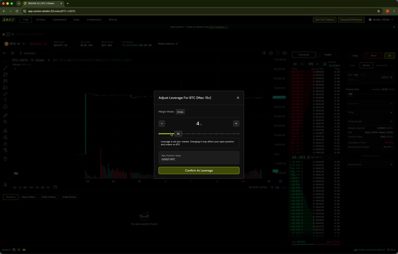13 Leverage Modal