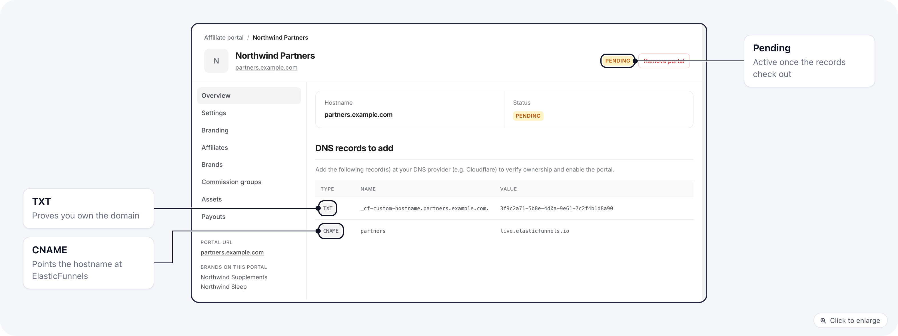 The portal's Overview tab while it is pending: hostname, Pending status and the TXT and CNAME records to add