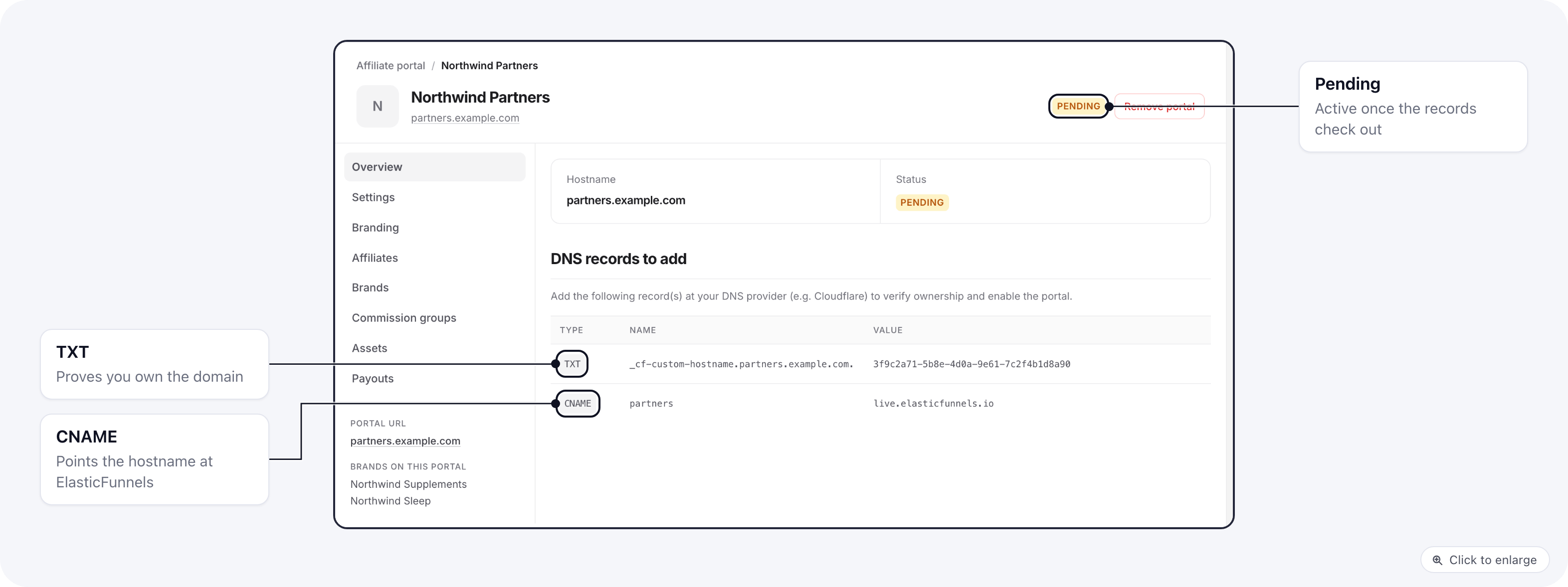 The portal's Overview tab while it is pending: hostname, Pending status and the TXT and CNAME records to add