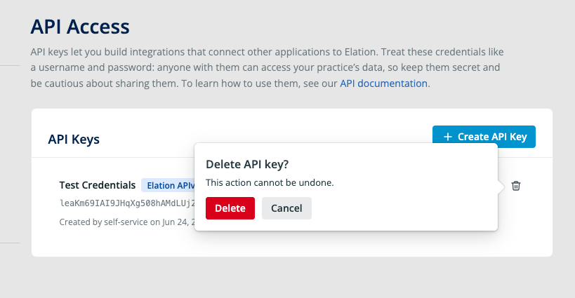 Delete API key confirmation dialog