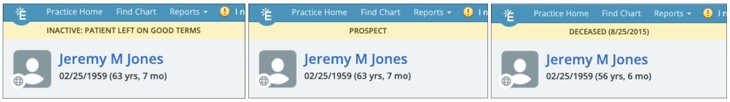 Patient Status in Chart New.png