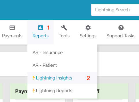 Alt Text: select Reports, followed by Lightning Insights