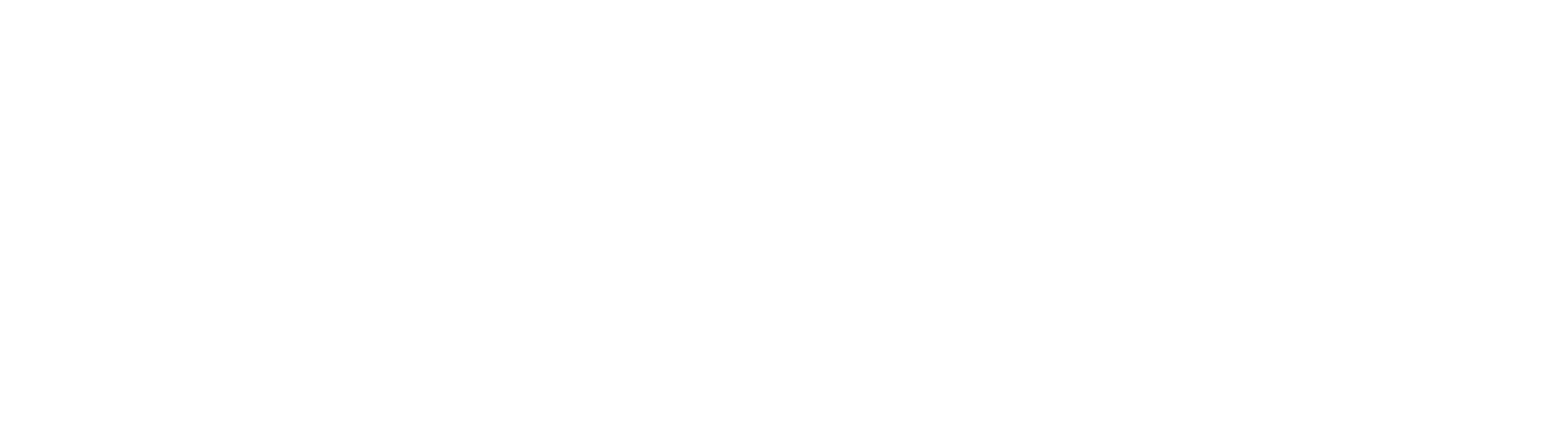 dark logo