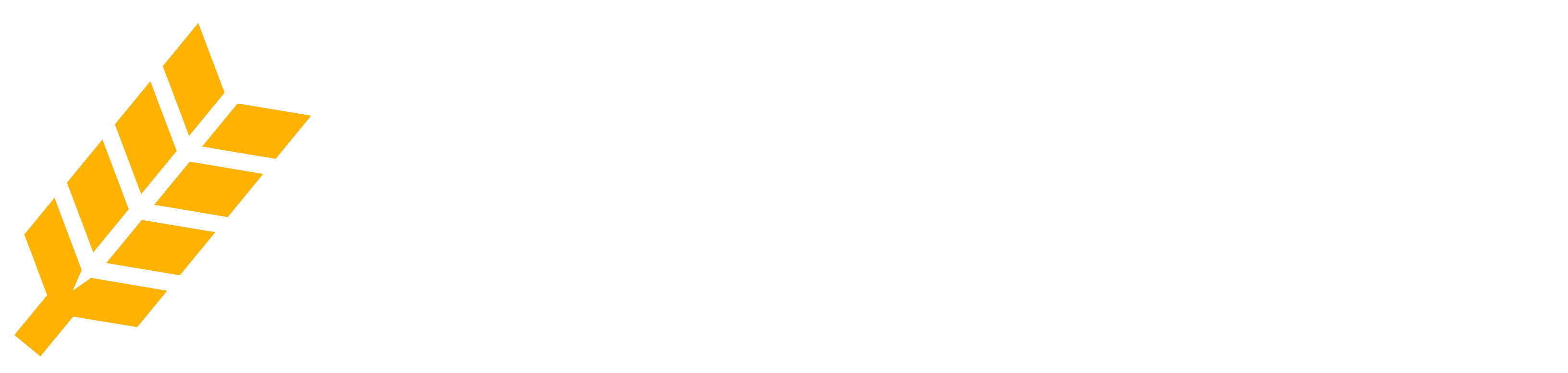 dark logo