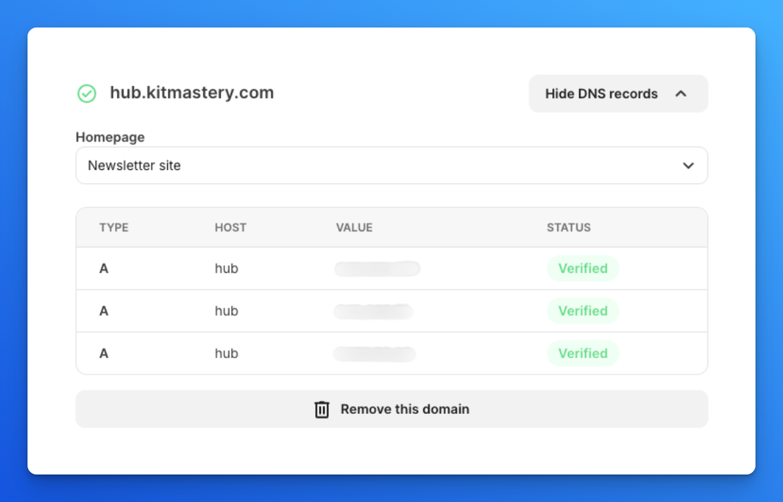 Custom Domain DNS Records 1