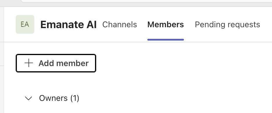 Members tab and Add member button in Microsoft Teams