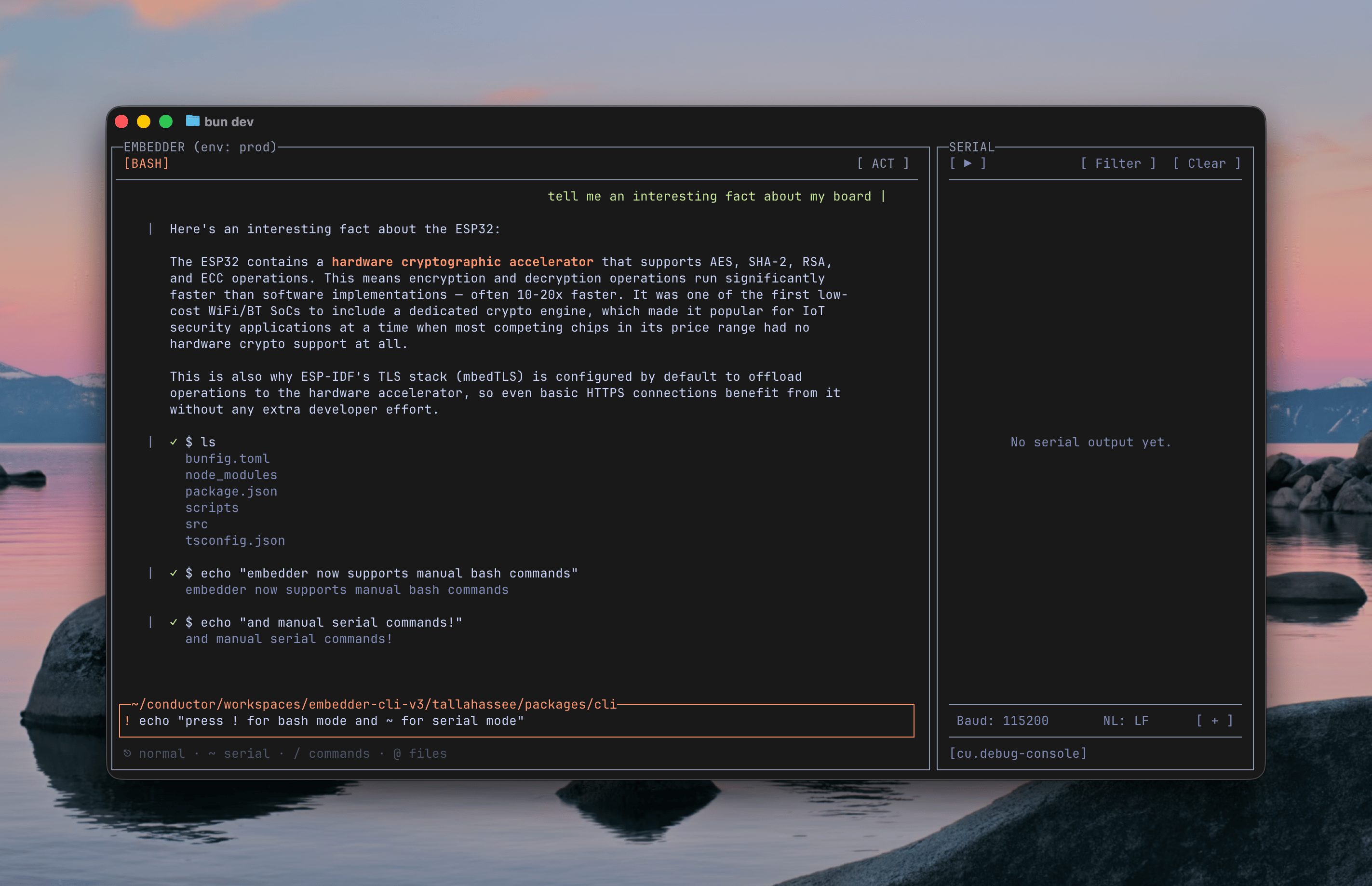 Embedder CLI in bash mode showing executed shell commands with output