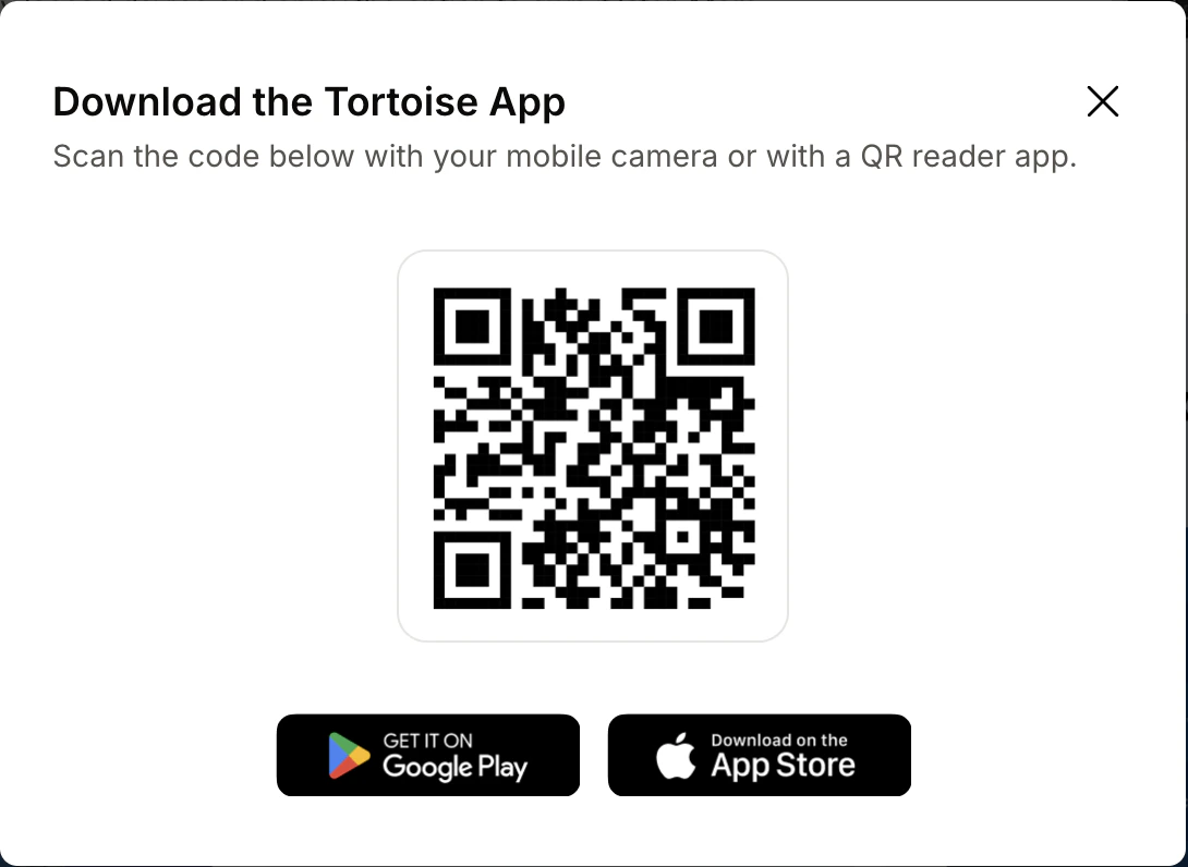 Tortoise 3