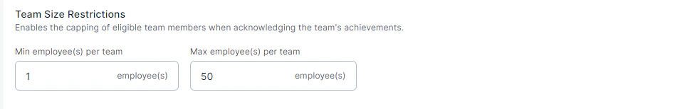 Privacy Control and Team Size settings with Confirm and Create button
