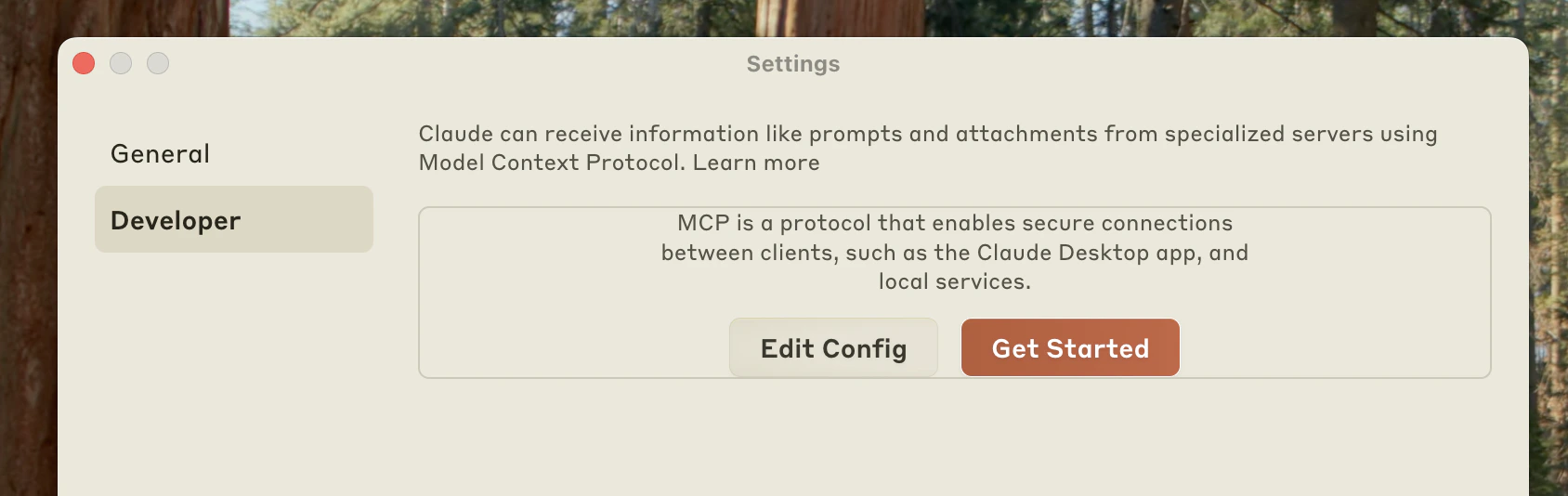 Developer settings showing Edit Config button