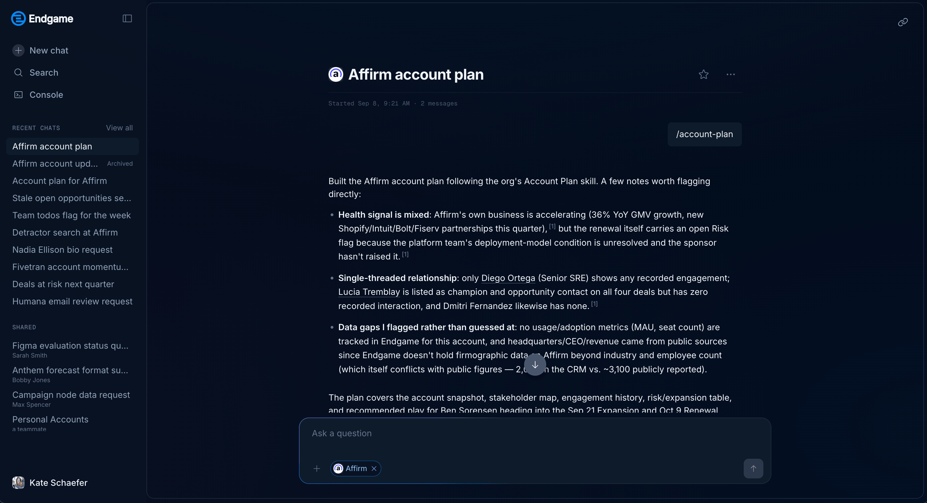 Full chat view with the chat history column on the left