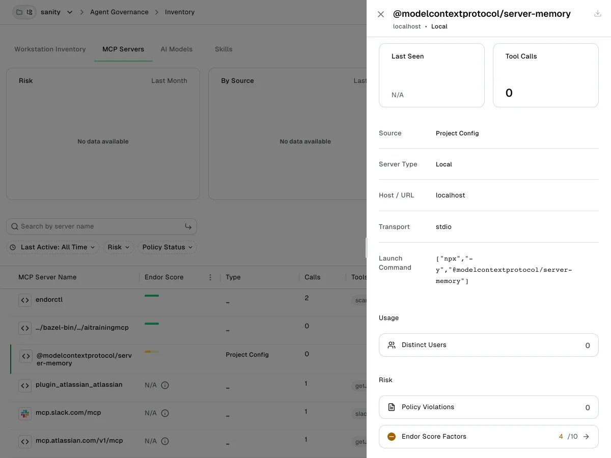 MCP server detail drawer showing the Last Seen and Tool Calls cards, the details section with the Source field, and the Usage and Risk sections