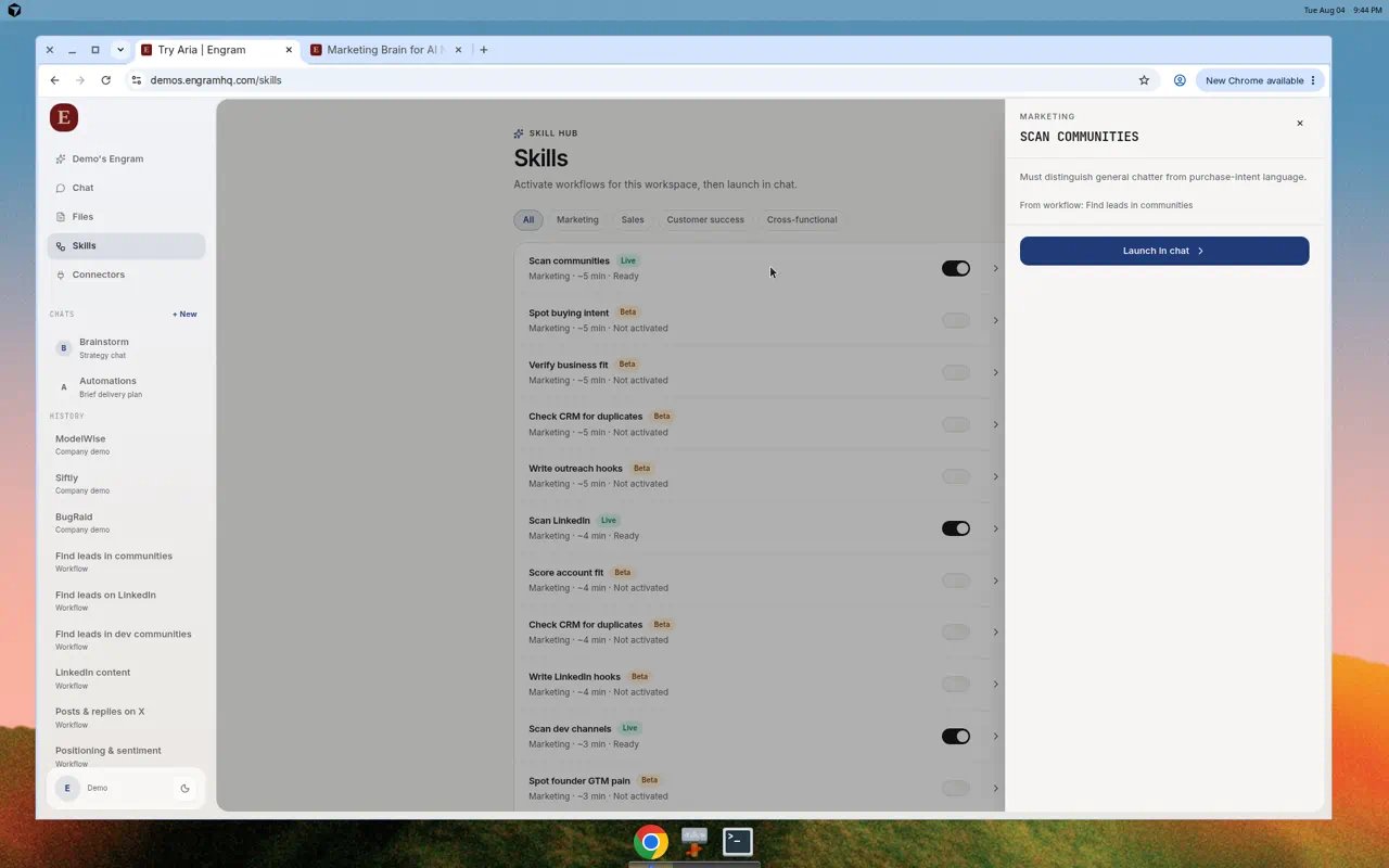 Screenshot of skill detail panel with Launch in chat for a community scan skill