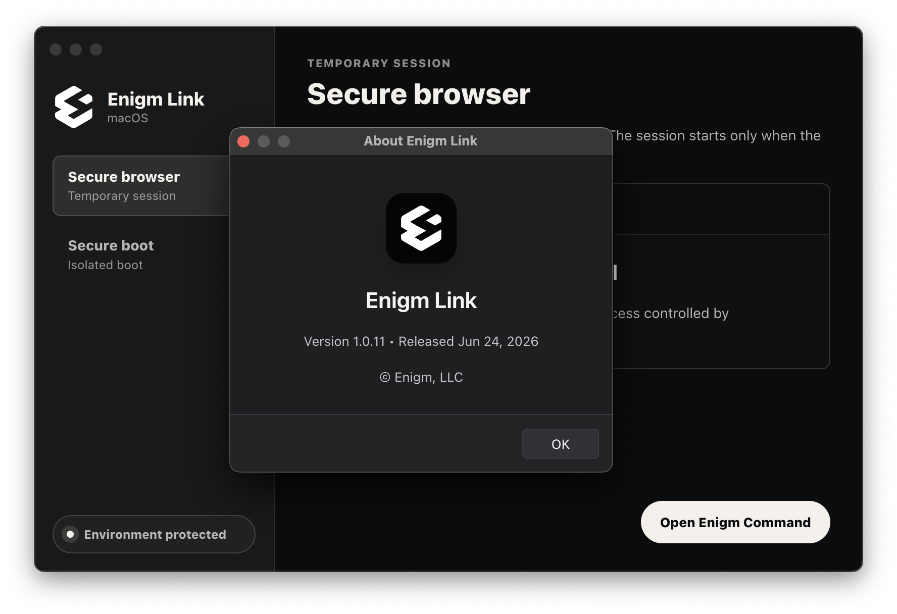 Enigm Link about dialog showing version information