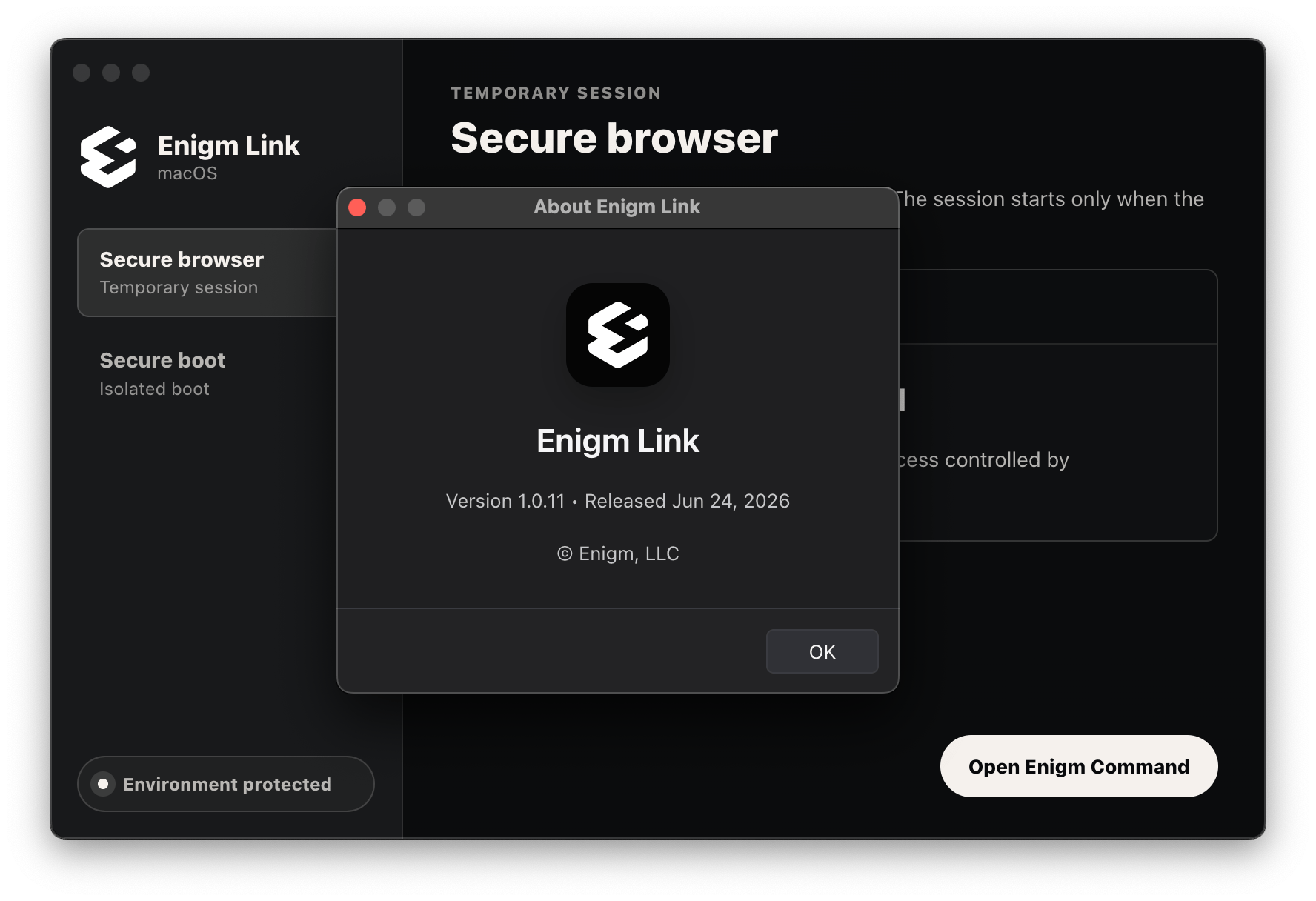 Enigm Link about dialog showing version information