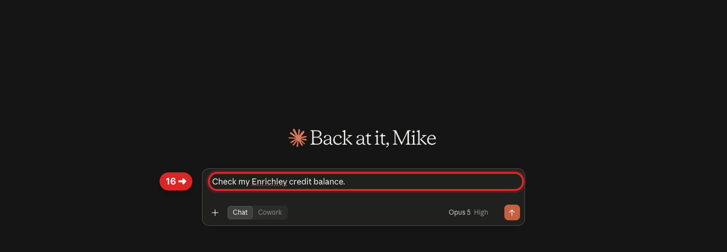 New Claude conversation with the Enrichley credit balance test prompt