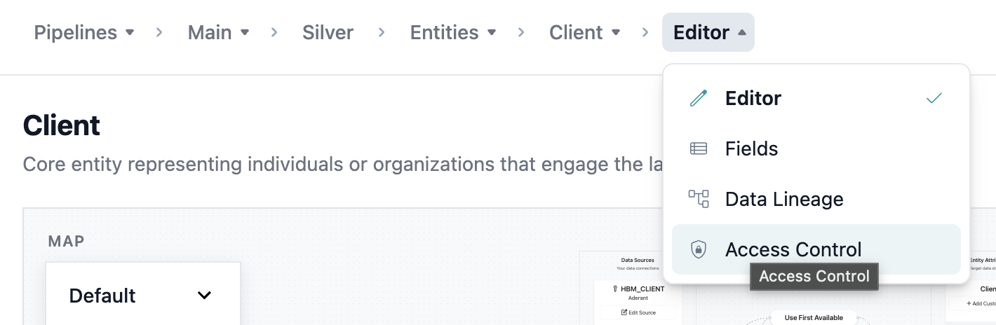 Entity mapping page with Access Control tab highlighted