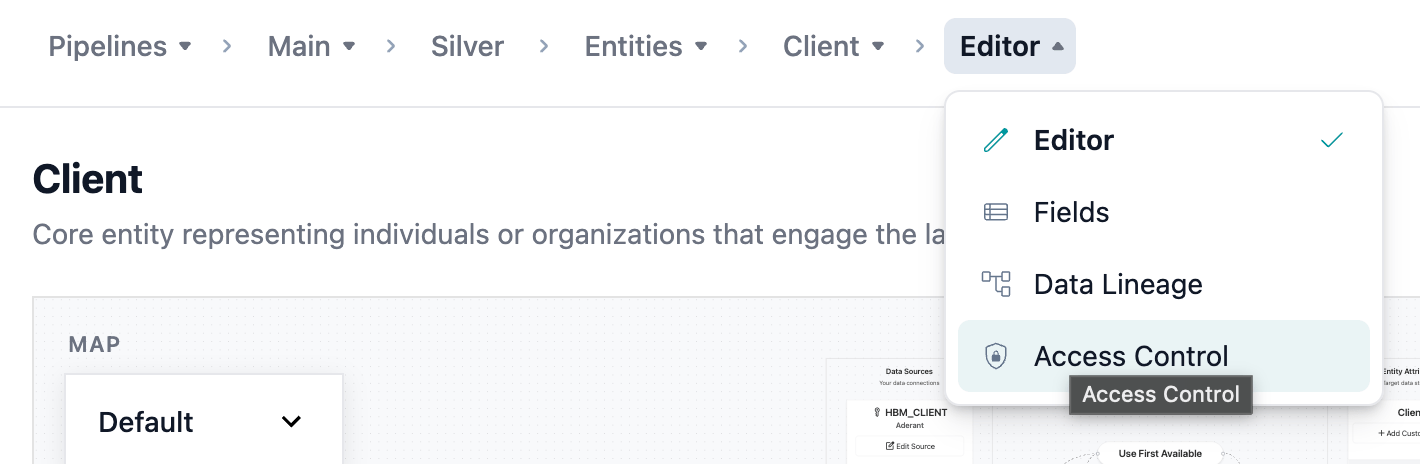 Entity mapping page with Access Control tab highlighted