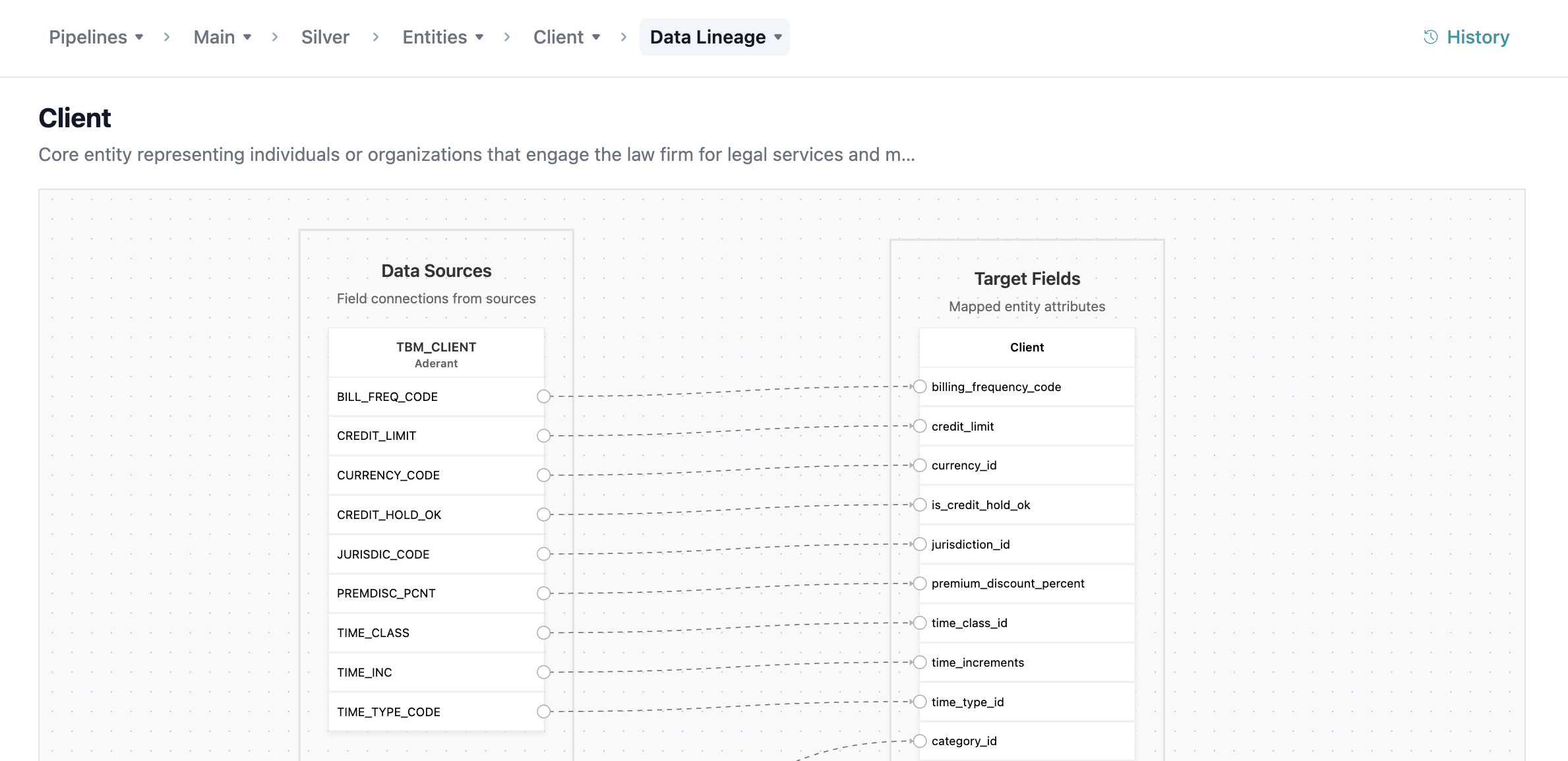 Data Lineage view showing source columns on the left connected to entity fields on the right