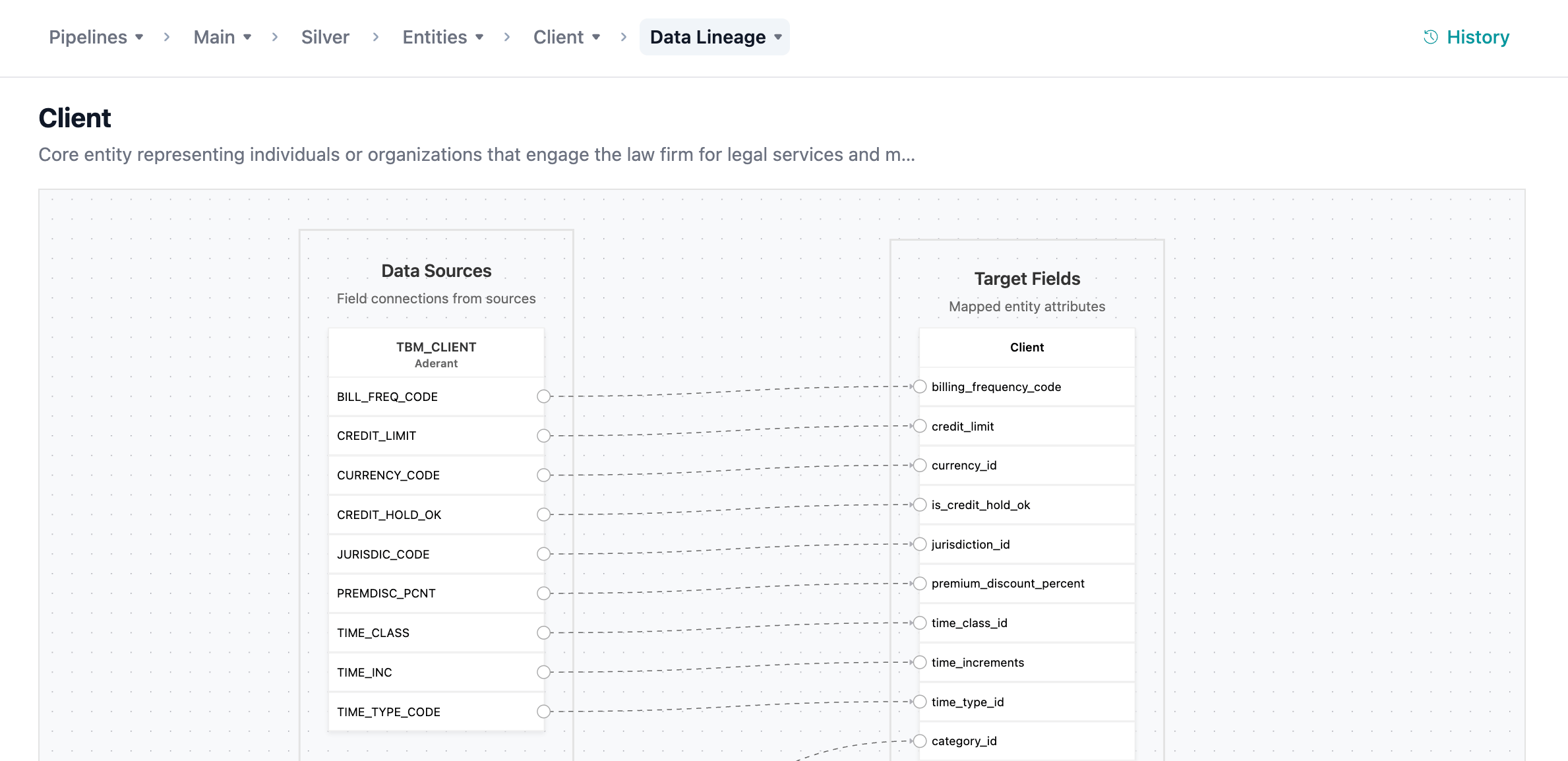 Data Lineage view showing source columns on the left connected to entity fields on the right