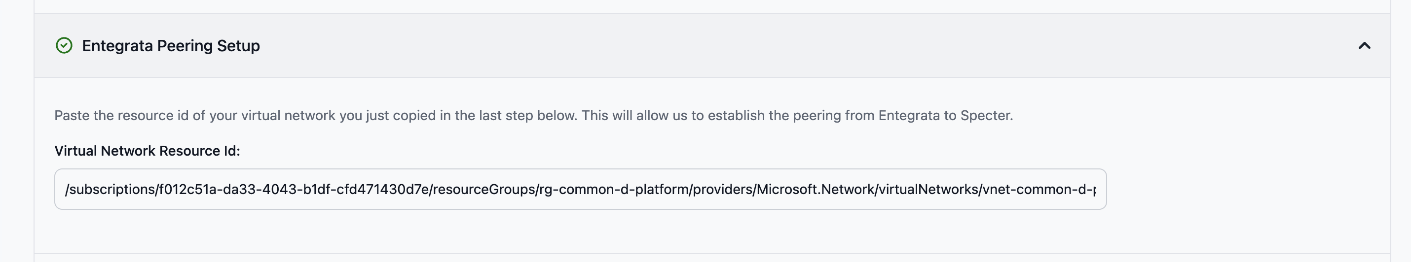 Virtual Network Resource ID input field