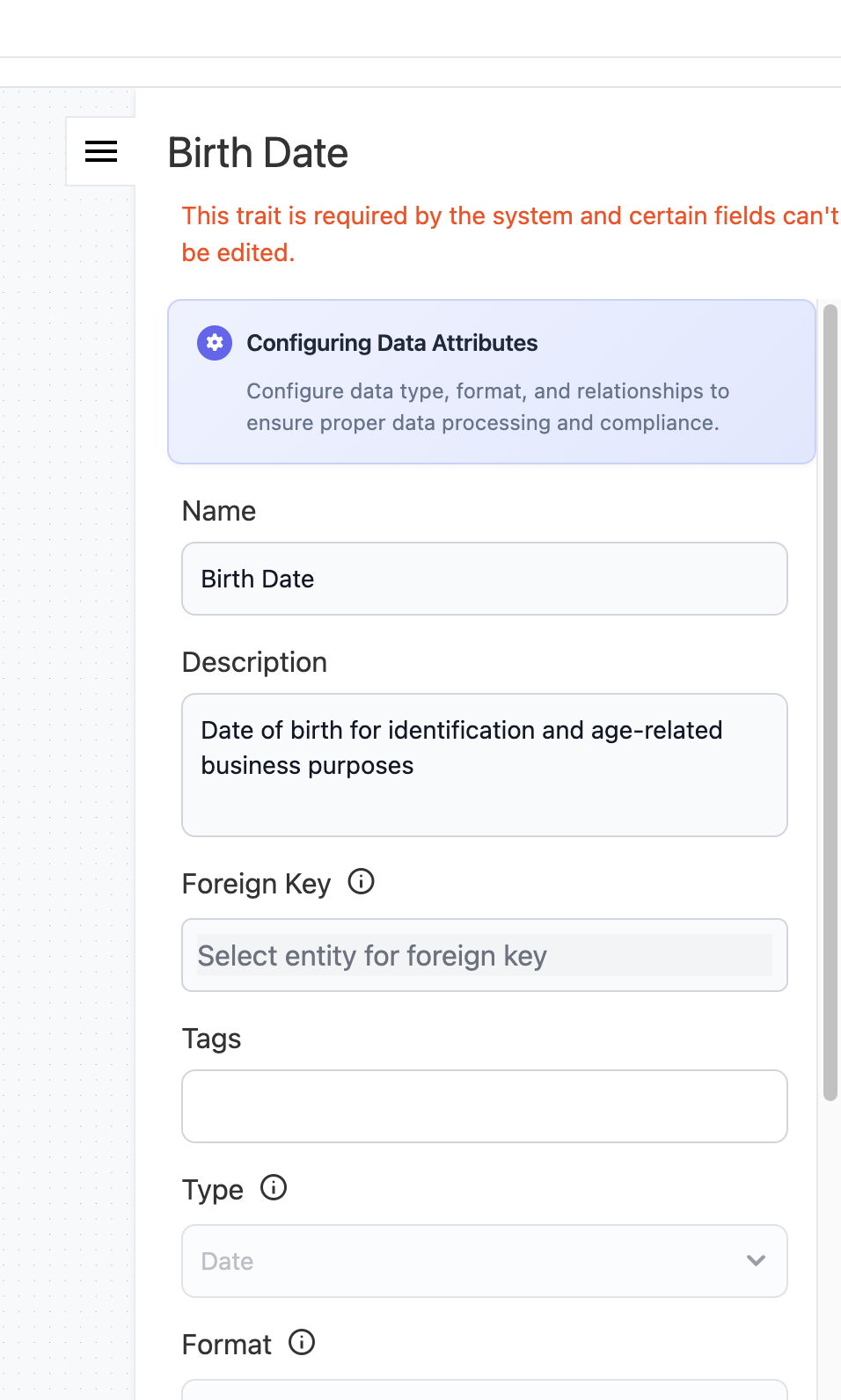 Entity field list showing various fields and their properties