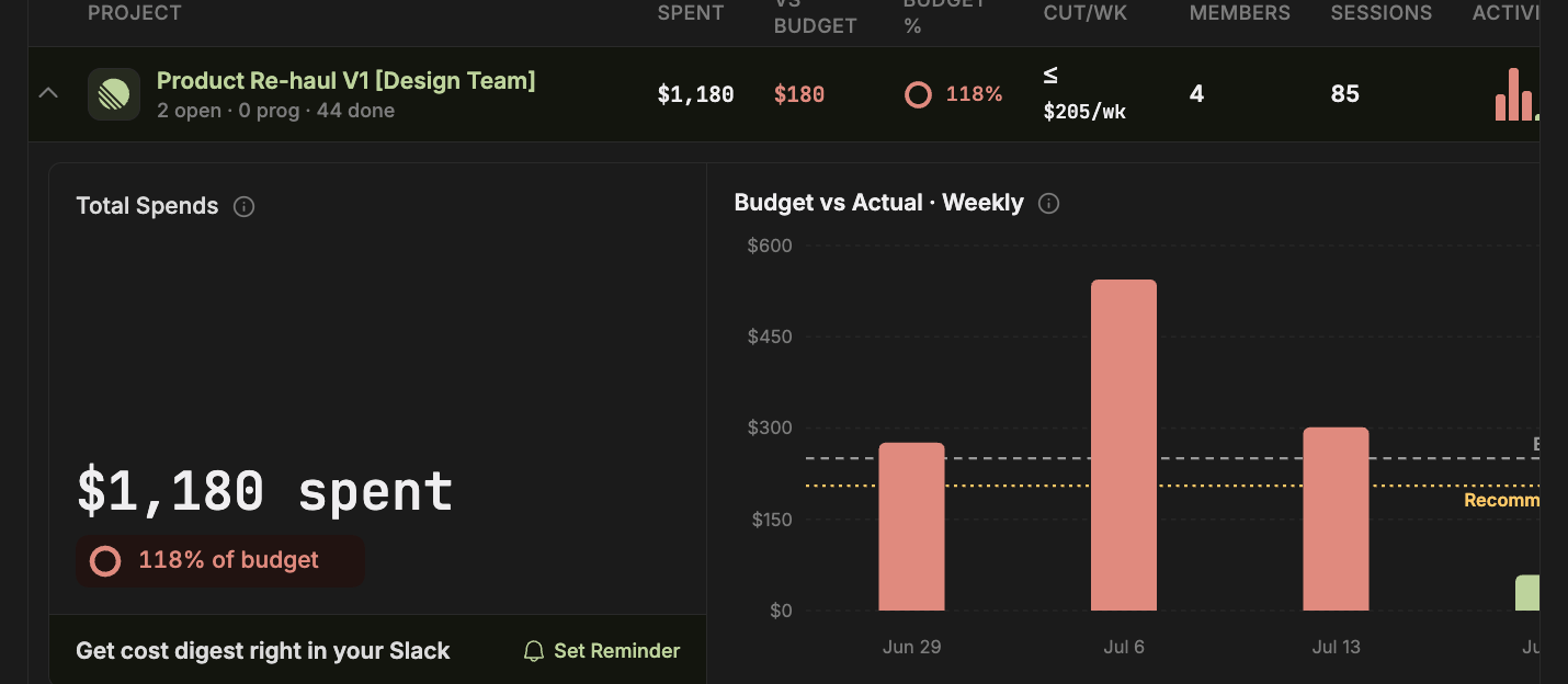 Expanded project budget detail showing total spend and budget versus actual by week