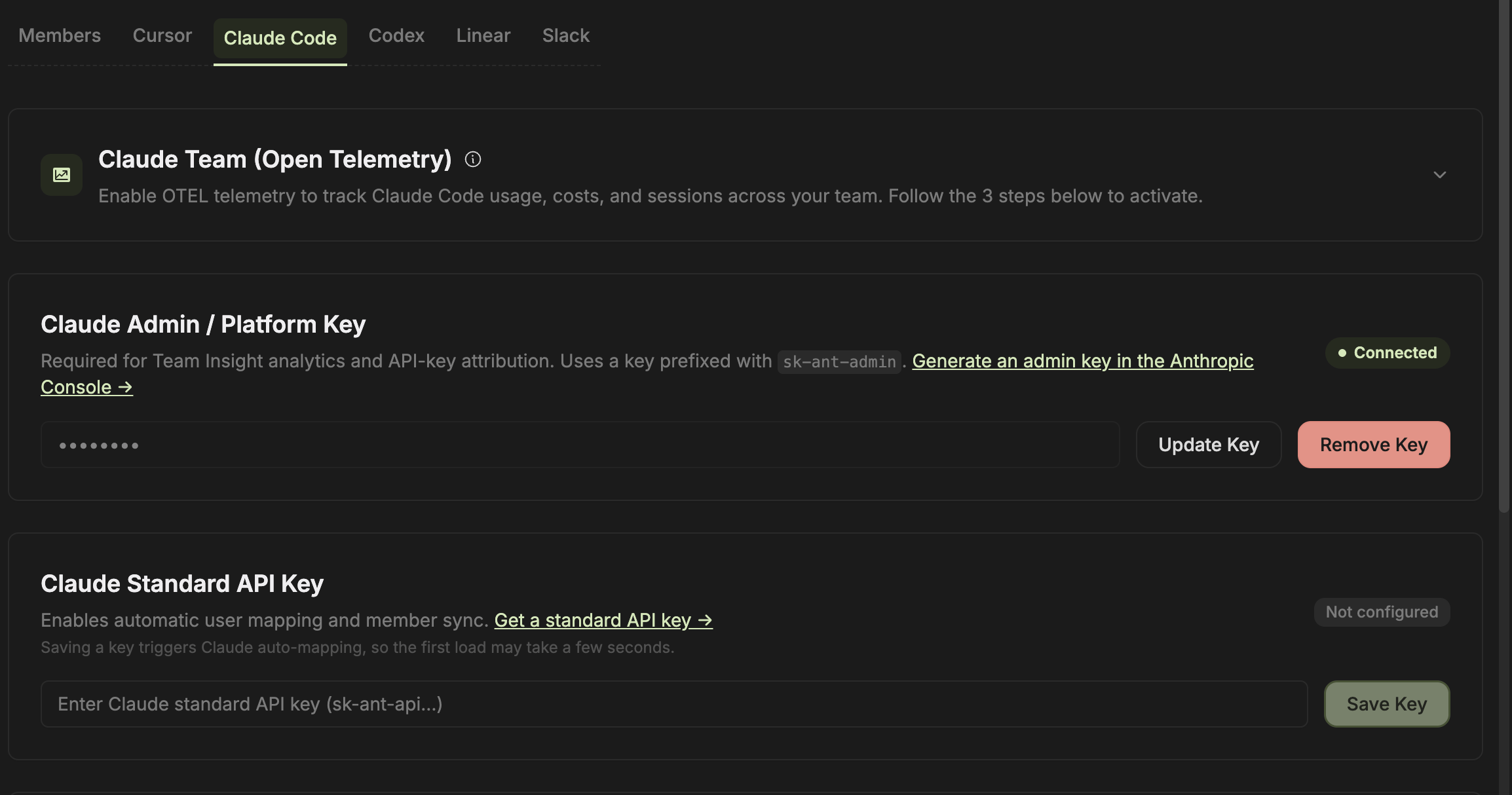 Claude Code settings showing OpenTelemetry, admin key, and standard API key configuration