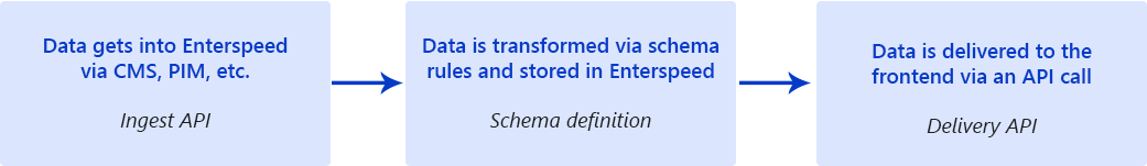 The Enterspeed process