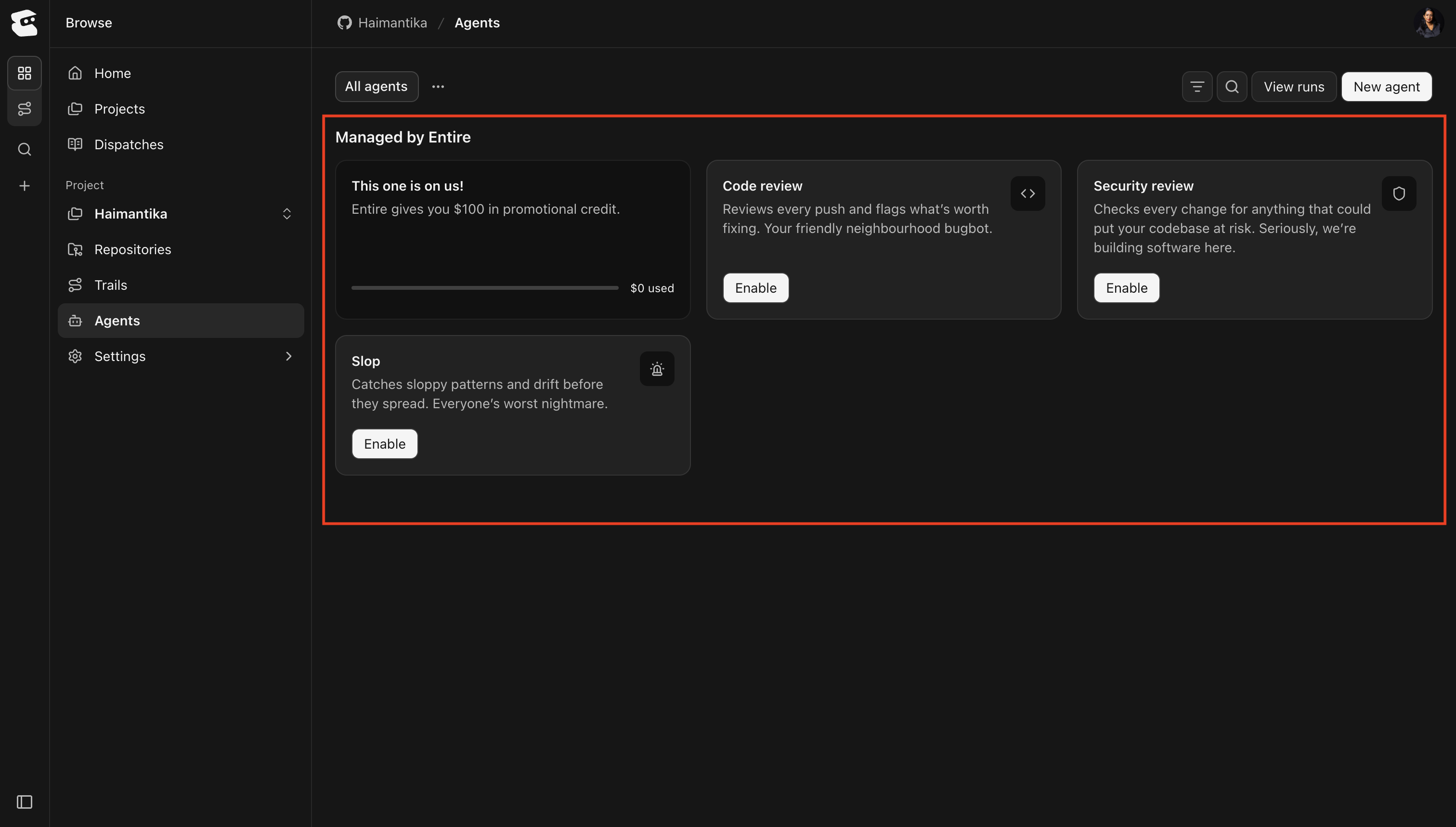 Entire agent presets for code review, security review, and detecting sloppy patterns and drift