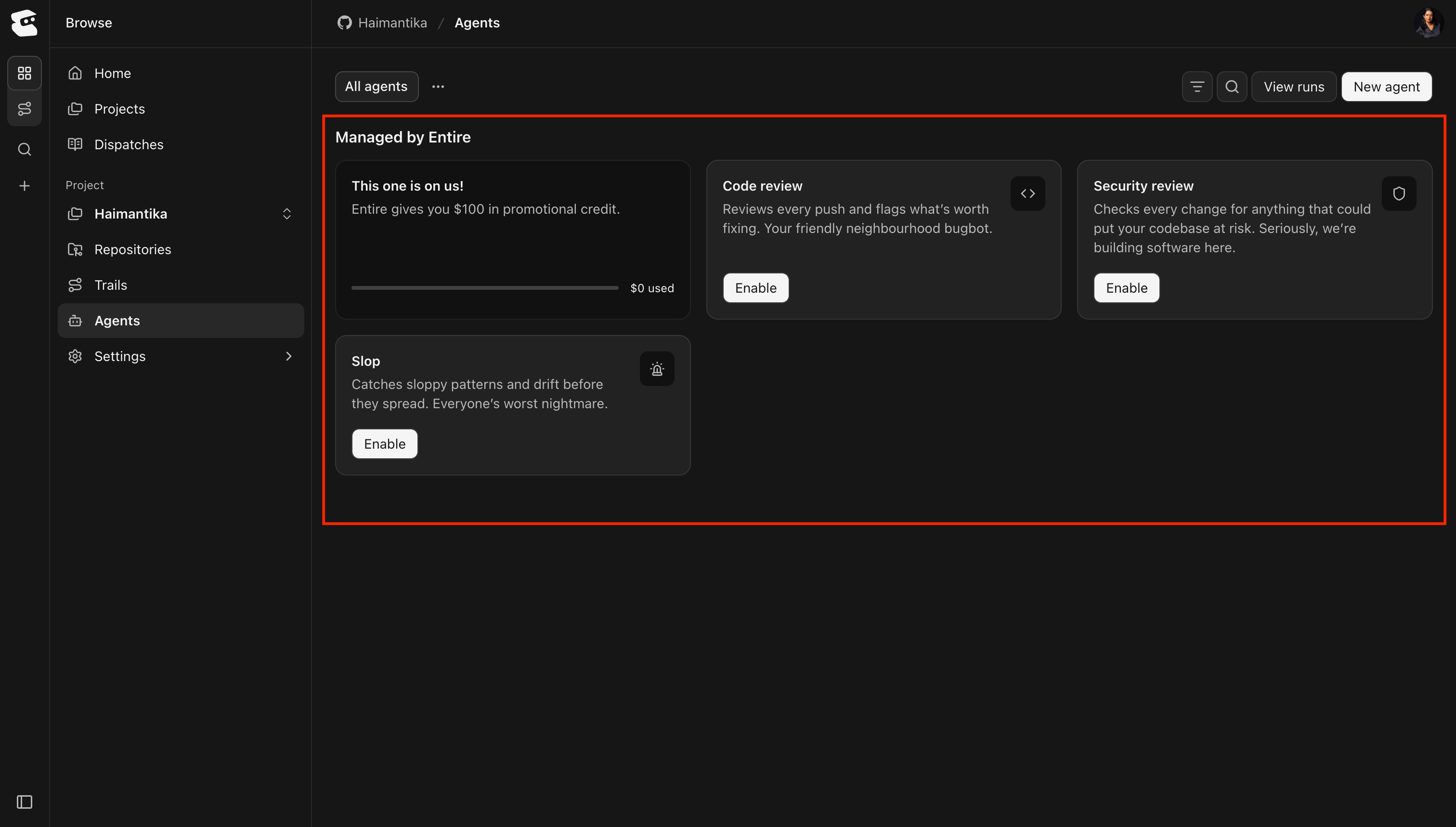 Entire agent presets for code review, security review, and detecting sloppy patterns and drift