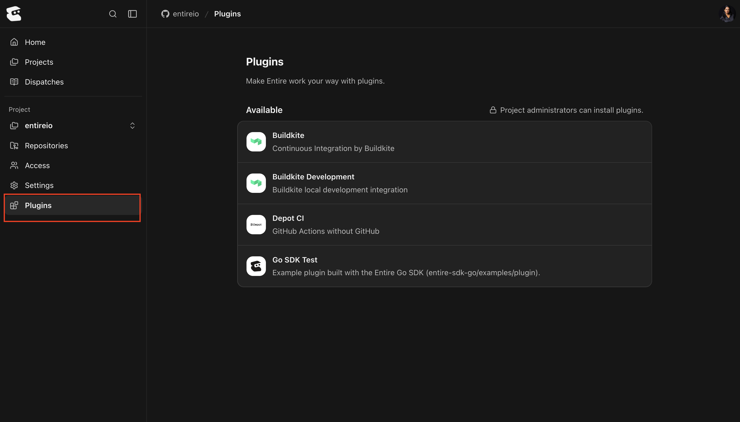 Project Plugins page in entire.io showing Buildkite and Depot CI plugins, with Plugins highlighted in the sidebar