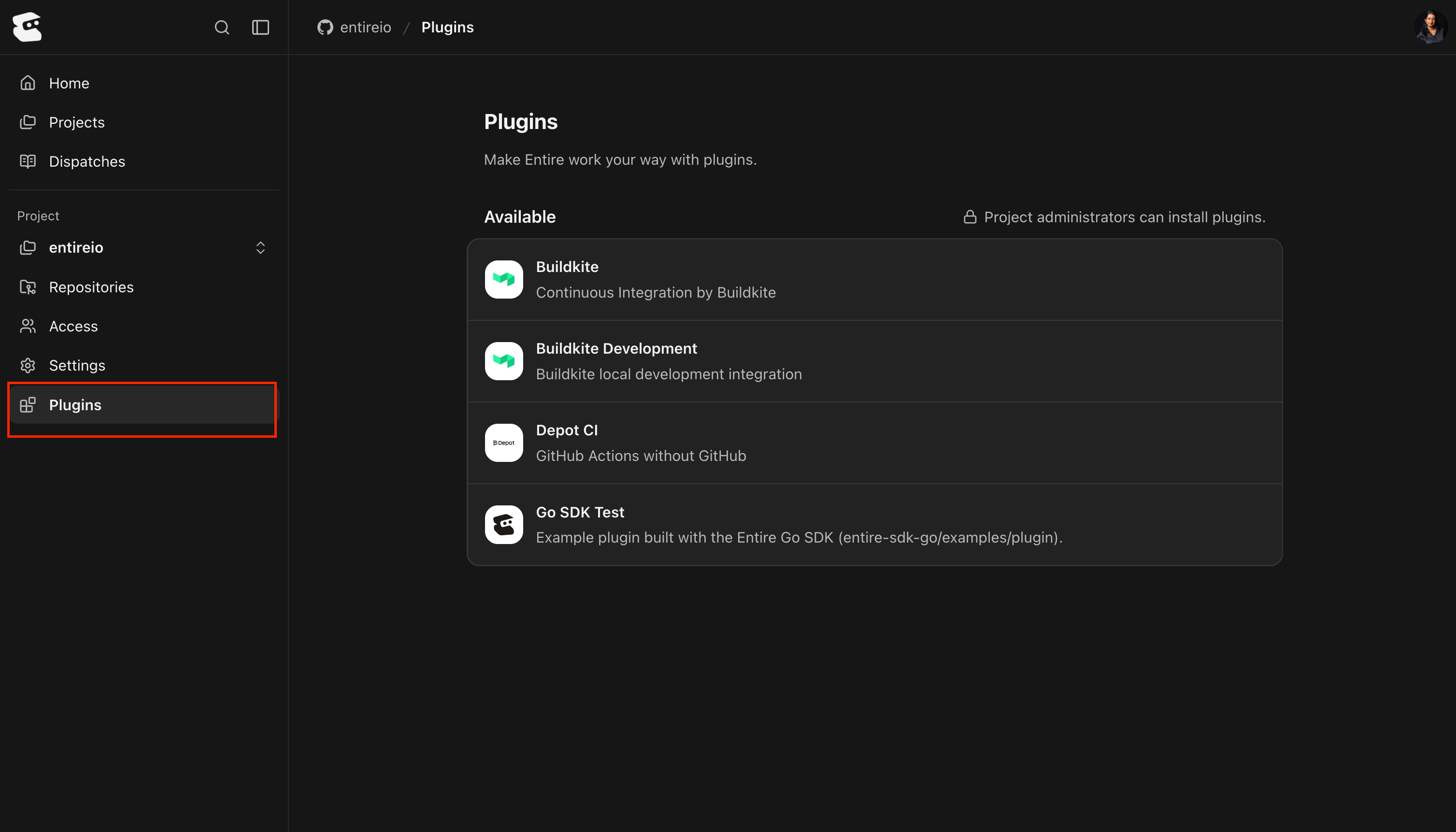 Project Plugins page in entire.io showing Buildkite and Depot CI plugins, with Plugins highlighted in the sidebar